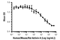 Cell Signaling Technology&nbsp;Human/Mouse/Rat Activin A Reco