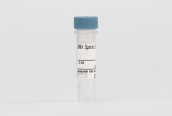 Cell Signaling Technology&nbsp;100X Spermidine 1.3 ml