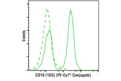 Cell Signaling Technology CD19 1D3 Rat mAb PE-Cy7R