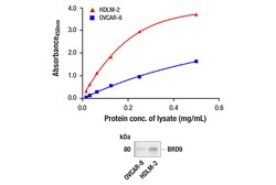 Cell Signaling Technology PathScanR RP BRD9 Sandwich E