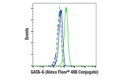 Cell Signaling Technology GATA-6 D61E4 XPR Rabbit mA