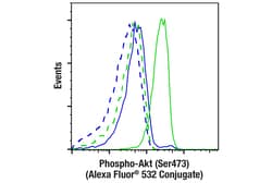 Cell Signaling Technology Phospho-Akt Ser473 D9E XP