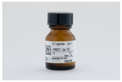 Cell Signaling Technology&nbsp;Collagenase  Type 3 1 g