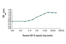 Cell Signaling Technology Human Insulin-like Growth Fact