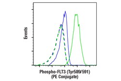 Cell Signaling Technology Phospho-FLT3 Tyr589/591 E4D