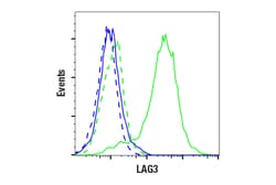 Cell Signaling Technology&nbsp;LAG3 E3E9B Rabbit mAb BSA a