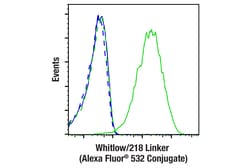 Cell Signaling Technology&nbsp;Whitlow/218 Linker E3U7Q Rab
