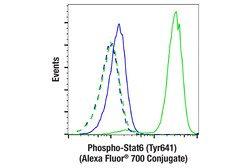 Cell Signaling Technology&nbsp;Phospho-Stat6 Tyr641 D8S9Y