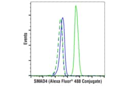 Cell Signaling Technology SMAD4 D3R4N XPR Rabbit mAb