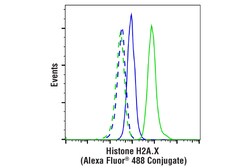 Cell Signaling Technology&nbsp;Histone H2A.X D17A3 XPR Ra
