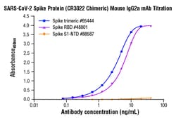 Cell Signaling Technology&nbsp;SARS-CoV-2 Spike Protein CR30