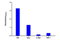 Cell Signaling Technology&nbsp;Total p21 Waf1/Cip1 Matched An
