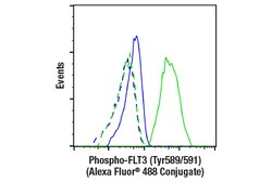 Cell Signaling Technology&nbsp;Phospho-FLT3 Tyr589/591 E4D