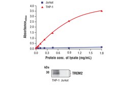 Cell Signaling Technology FastScantm Total TREM2 ELISA