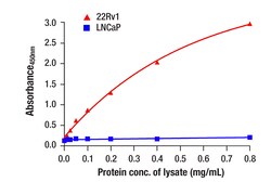 Cell Signaling Technology&nbsp;Androgen Receptor AR-V7 Speci
