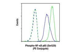 Cell Signaling Technology&nbsp;Phospho-NF-kappa-B p65 Ser529