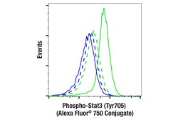 Cell Signaling Technology Phospho-Stat3 Tyr705 D3A7