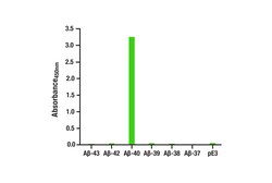 Cell Signaling Technology&nbsp;beta-Amyloid 1-40 Matched An