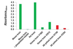 Cell Signaling Technology Phospho-Tau Ser404 Matched A, Quantity: Each