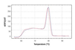Cell Signaling Technology&nbsp;SimpleChIPR Human PTMA Downs