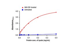 Cell Signaling Technology&nbsp;Phospho-CSF-1R/M-CSF-R panTyr