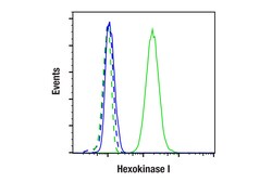 Cell Signaling Technology&nbsp;Hexokinase I C35C4 Rabbit mA