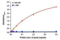 Cell Signaling Technology&nbsp;Total RIP3 Matched Antibody Pa