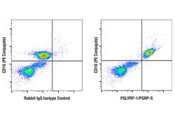 Cell Signaling Technology&nbsp;PGLYRP-1/PGRP-S E3B6M Rabbit