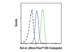 Cell Signaling Technology&nbsp;Bcl-xL 54H6 Rabbit mAb Alex