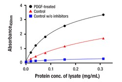 Cell Signaling Technology&nbsp;Phospho-GSK-3-beta Ser9 Matc