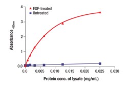 Cell Signaling Technology&nbsp;Phospho-EGF Receptor panTyr