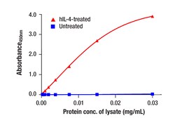 Cell Signaling Technology&nbsp;Phospho-Stat6 Tyr641 Matched