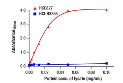 Cell Signaling Technology&nbsp;EGF Receptor E746-A750del Spe