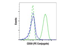 Cell Signaling Technology&nbsp;CD59 E7F7G Rabbit mAb PE Co