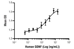Cell Signaling Technology&nbsp;Human GDNF Recombinant Protein