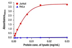 Cell Signaling Technology&nbsp;Phospho-Rb Ser807/811 Matche