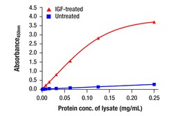 Cell Signaling Technology&nbsp;Phospho-Akt1 Ser473 Matched