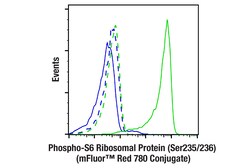 Cell Signaling Technology&nbsp;Phospho-S6 Ribosomal Protein