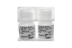 Cell Signaling Technology&nbsp;Antibody Binding Buffer CUT R