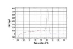Cell Signaling Technology&nbsp;SimpleChIPR Human CTGF Promo
