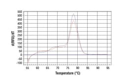 Cell Signaling Technology&nbsp;SimpleChIPR Human HoxA9 Prom