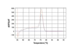Cell Signaling Technology&nbsp;SimpleChIPR Human c-Myc Intr