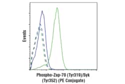 Cell Signaling Technology&nbsp;Phospho-Zap-70 Tyr319/Syk T