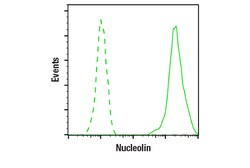 Cell Signaling Technology&nbsp;Nucleolin D4C7O Rabbit mAb 2