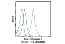 Cell Signaling Technology&nbsp;Cleaved Caspase-8 Asp387 D5