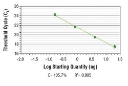 Cell Signaling Technology&nbsp;SimpleChIPR Human HSP70 Intr