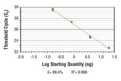 Cell Signaling Technology&nbsp;SimpleChIPR Human FDPS Promo
