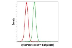 Cell Signaling Technology&nbsp;Syk D3Z1E XPR Rabbit mAb