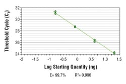 Cell Signaling Technology&nbsp;SimpleChIPR Mouse B-Myb Intr