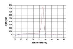 Cell Signaling Technology&nbsp;SimpleChIPR Human beta-Actin